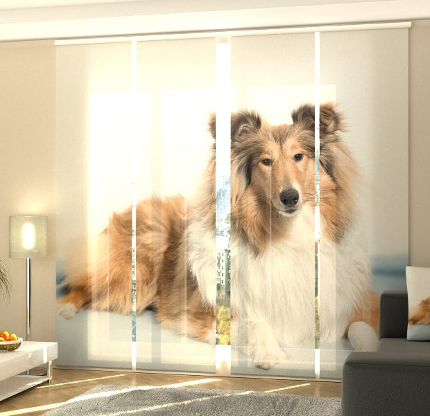 Set of 4 Panel Track Blinds - Beautiful Collie