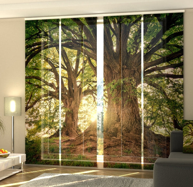 Set of 4 Panel Track Blinds - Beautiful Old Trees