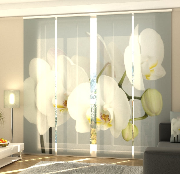 Set of 4 Panel Track Blinds - Canadian Orchid