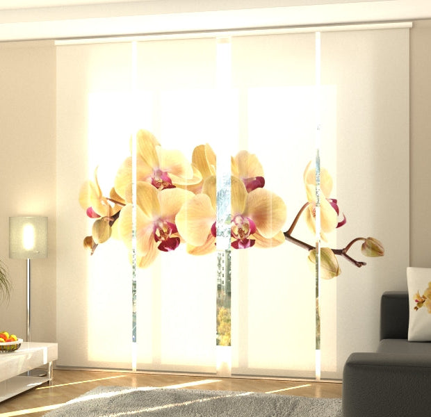 Set of 4 Panel Track Blinds - Golden Orchid on White