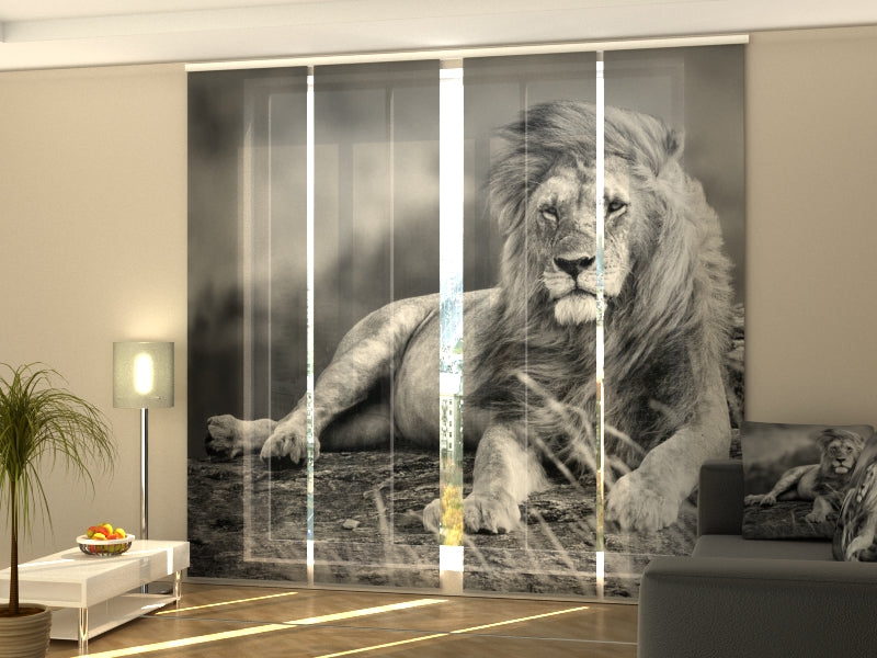 Set of 4 Panel Track Blinds - Mighty Lion