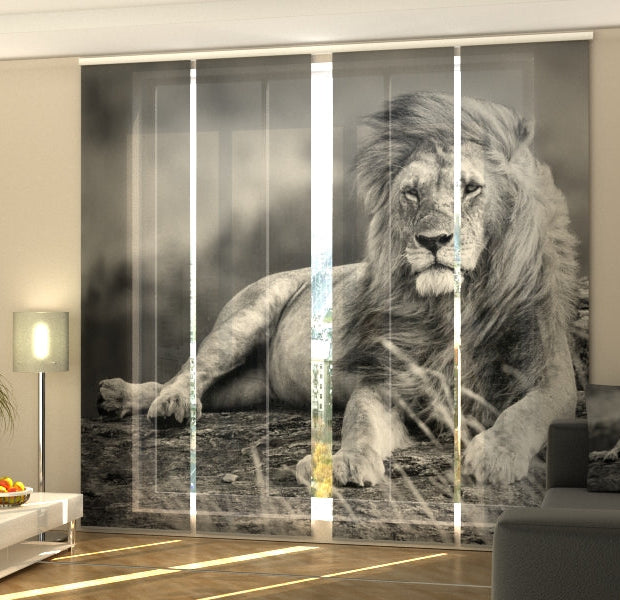 Set of 4 Panel Track Blinds - Mighty Lion