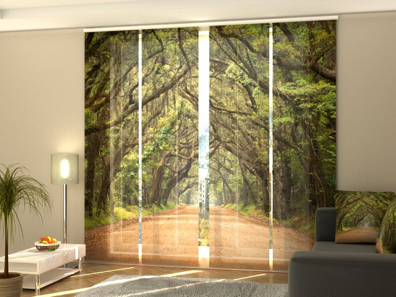 Set of 4 Panel Track Blinds - Oak Trees in Australian Botany Bay