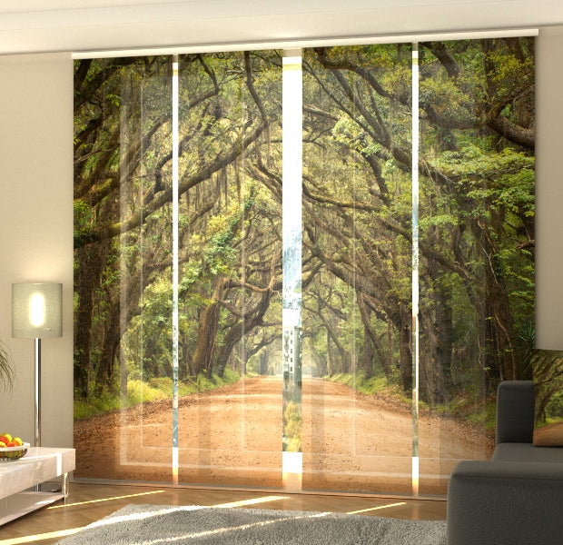 Set of 4 Panel Track Blinds - Oak Trees in Australian Botany Bay