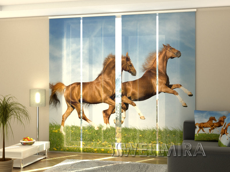 Set of 4 Panel Track Blinds - Fast Horses