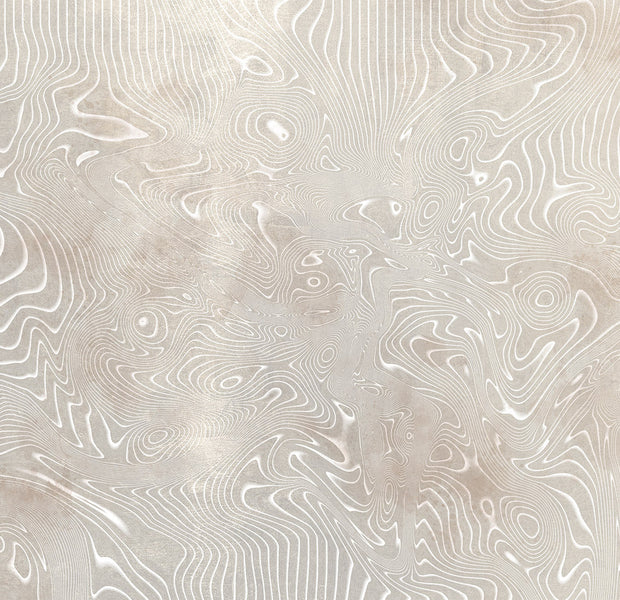 Peel & Stick Abstract Wall Mural - Flowing Shapes