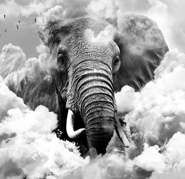 Peel & Stick Animal Wall Mural - Elephant in The Clouds