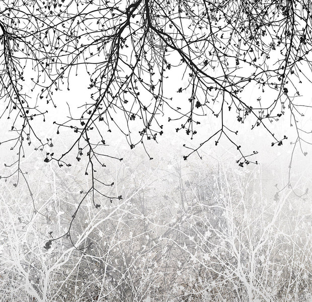 Peel & Stick Botanical Wall Mural - Natural Brightness