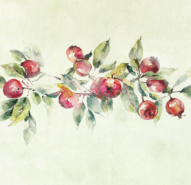 Peel & Stick Botanical Wall Mural - Watercolor Apple Branch