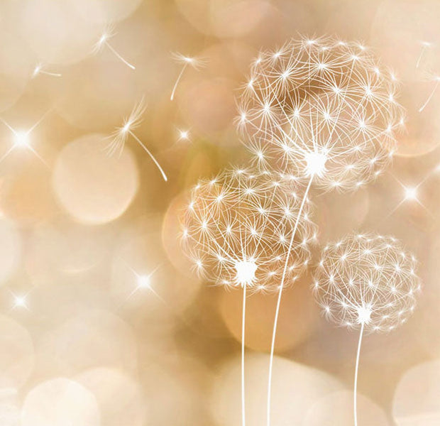 Peel & Stick Floral Wall Mural - Dandelions in The Summer