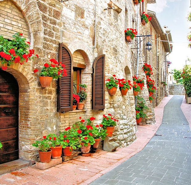 Peel & Stick Landscape Wall Mural - Italian Province
