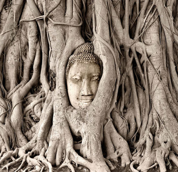 Peel & Stick Spiritual Wall Mural - Buddha's Tree