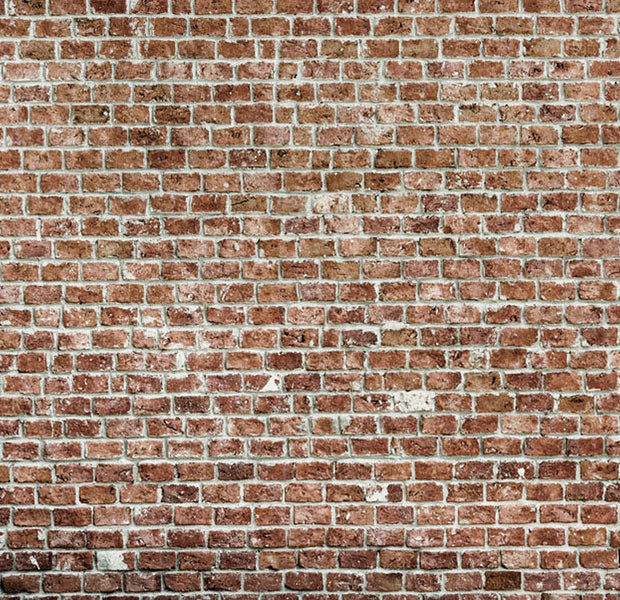 Peel & Stick Wall Mural - Dominion Brick Wall