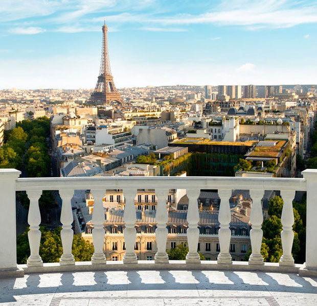 Peel & Stick Wall Mural - Paris at Noon