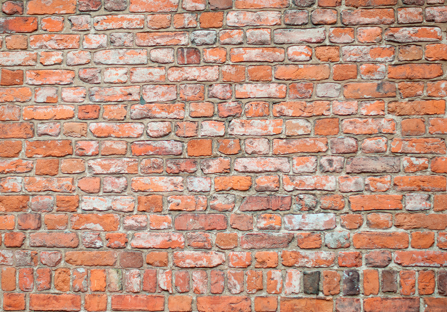 Peel & Stick Wall Mural - Red Brick Loft Wall