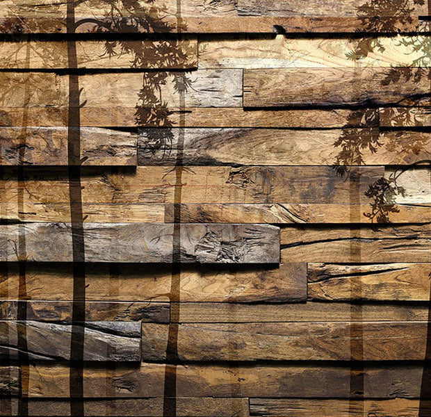 Peel & Stick Wall Mural - Shadow of Trees