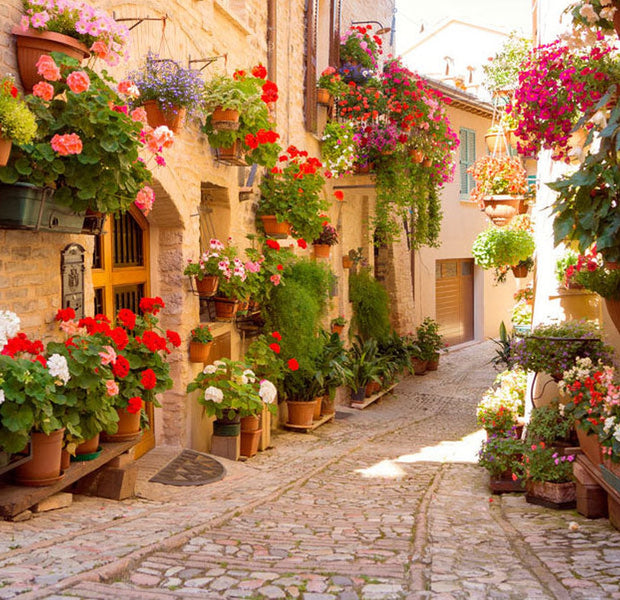 Peel & Stick Wall Mural - Alley in Spello