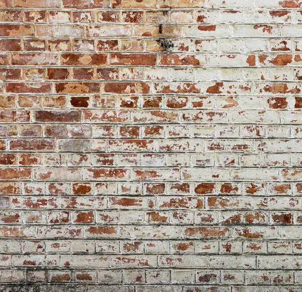 Peel & Stick Wall Mural - Urban Tales in Brick