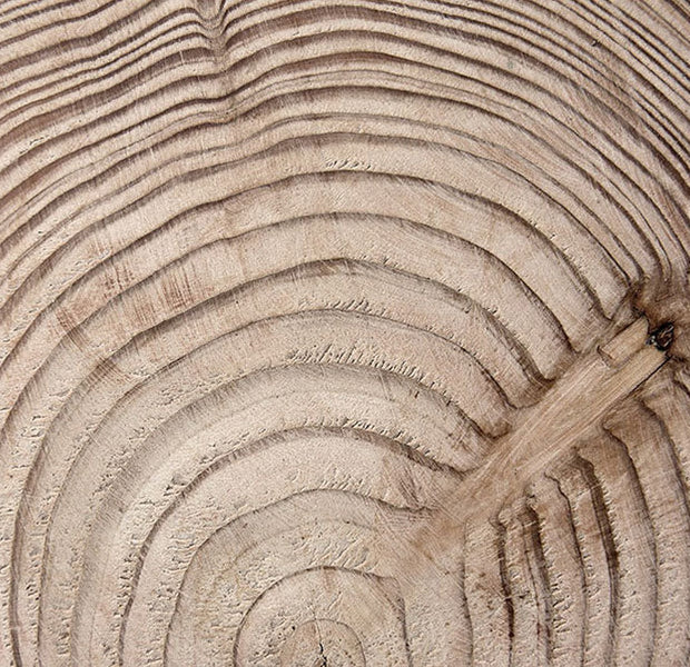 Peel & Stick Wall Mural - Wood Grain