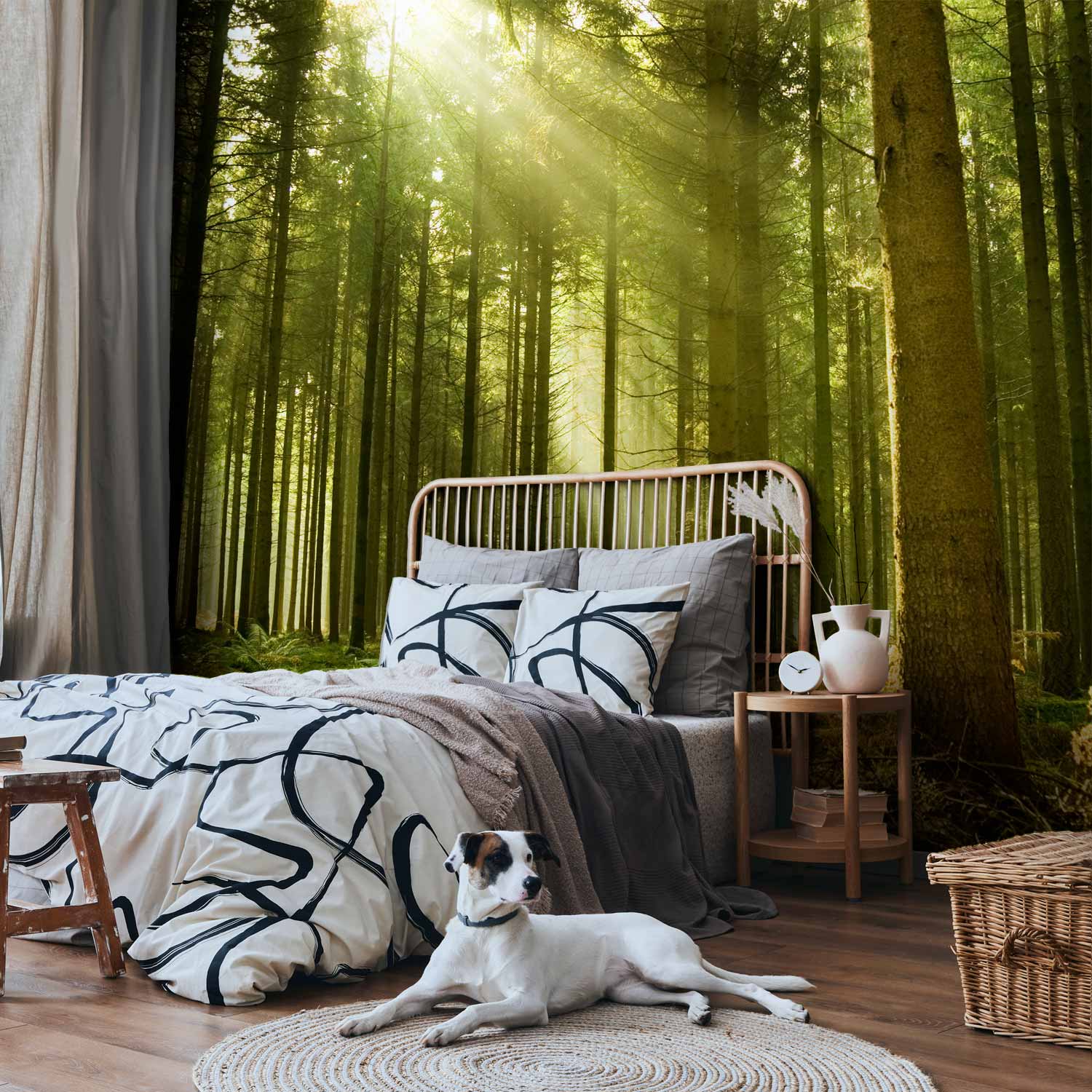 Premium Landscape Wall Mural - Pine Forest – Dense Woodland In Morning Sunlight