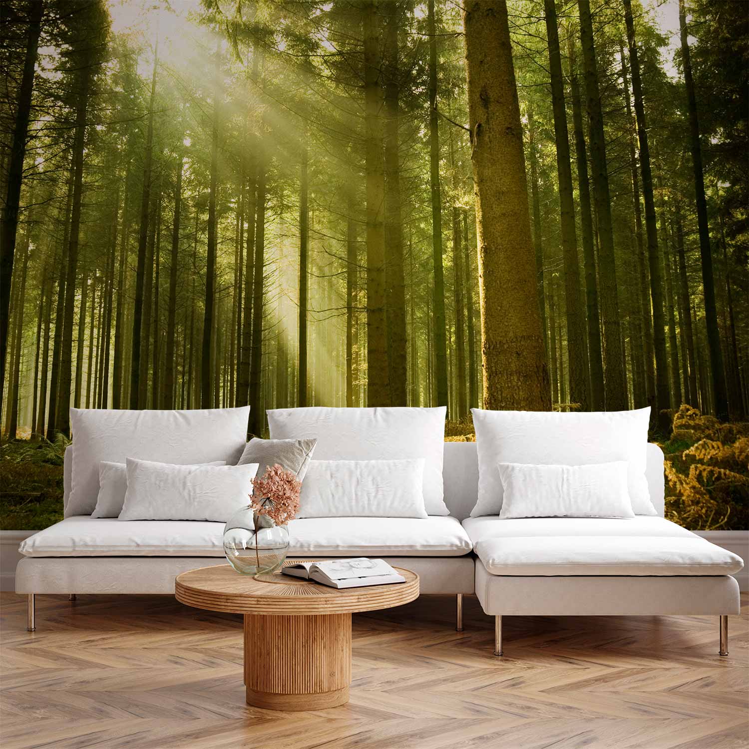 Premium Landscape Wall Mural - Pine Forest – Dense Woodland In Morning Sunlight