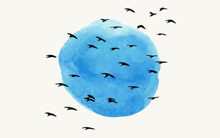 Premium Peel & Stick Wall Mural - Abstract Birds Sky