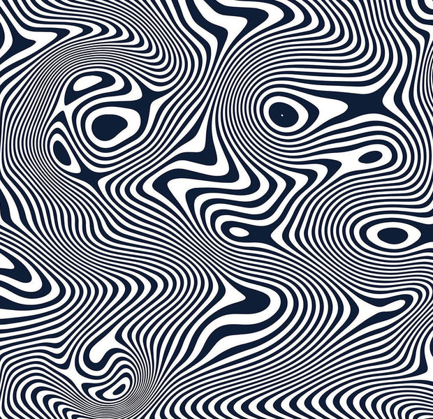 Black and white abstract topographic line pattern resembling a wall mural