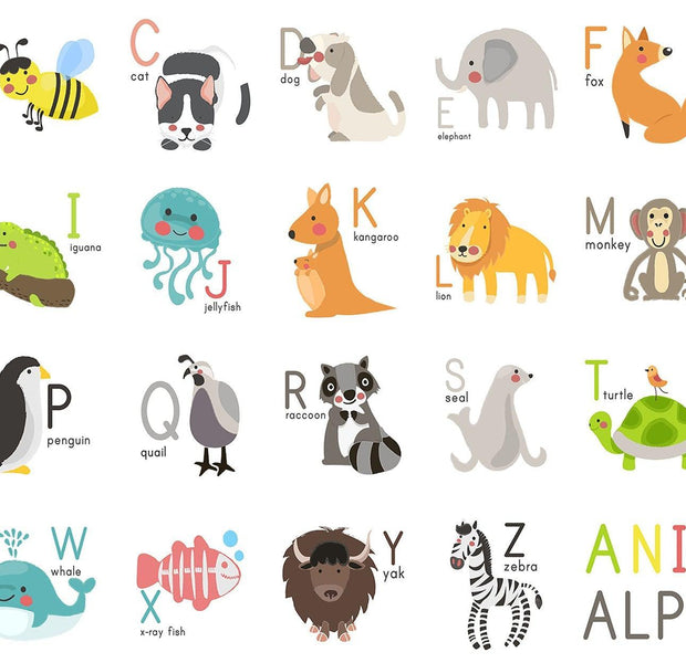 Colorful animal alphabet wall mural in an interior setting