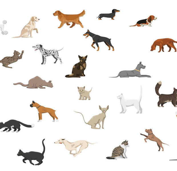 Premium Peel & Stick Wall Mural - Animal Collection