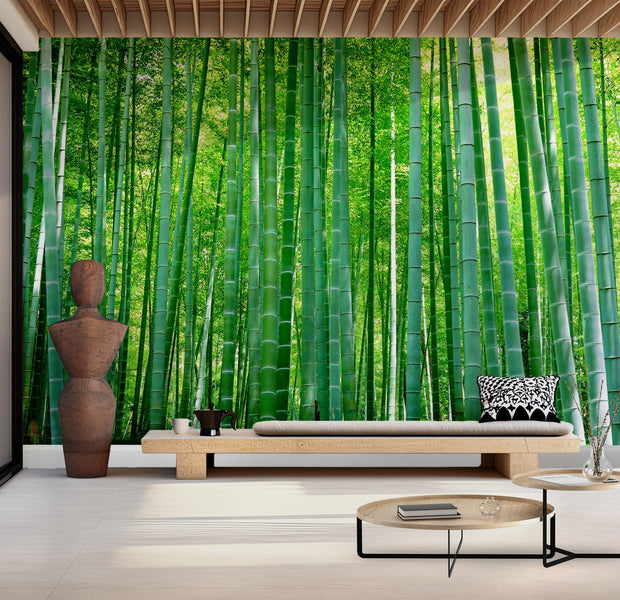 Premium Peel & Stick Wall Mural - Bamboo Forest