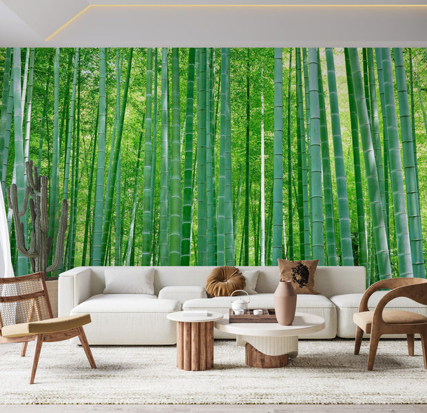 Premium Wallpaper Wall Mural - Bamboo Forest 60"Wx40"H / Non-Woven Fleece
