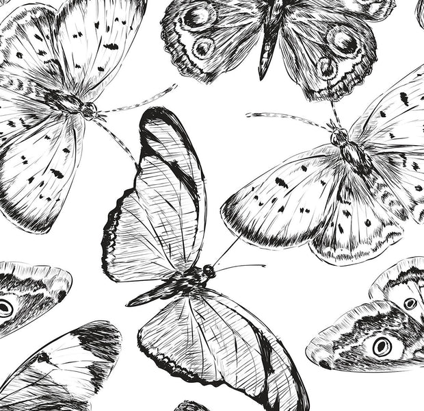 A black and white sketched butterfly mural on a wall interior