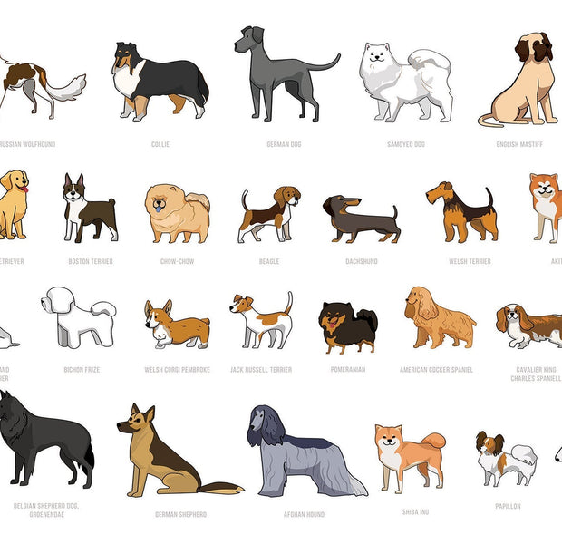 Premium Peel & Stick Wall Mural - Cartoon Dog Breeds