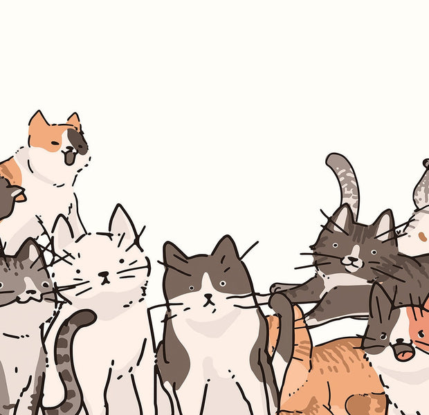 An array of various sketched cats in different poses forming a wall mural in a room