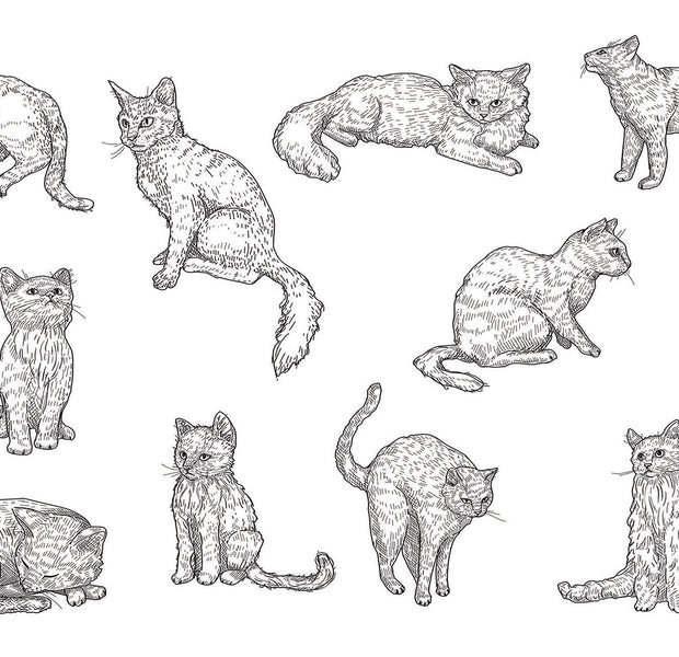 Premium Peel & Stick Wall Mural - Cat Sketches