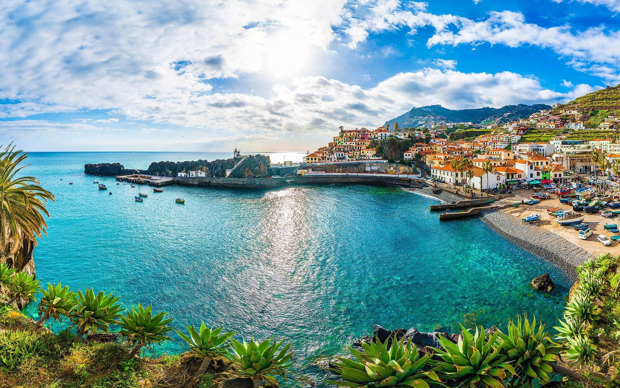Panoramic view of a picturesque coastal town used as a large wall mural in an interior setting