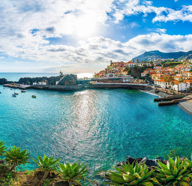 Panoramic view of a picturesque coastal town used as a large wall mural in an interior setting