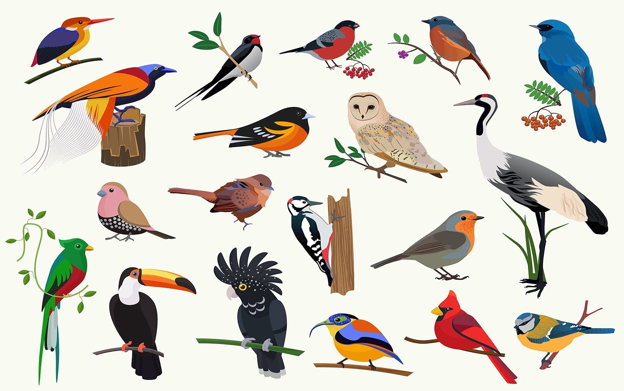 Premium Peel & Stick Wall Mural - Colorful Birds Illustration