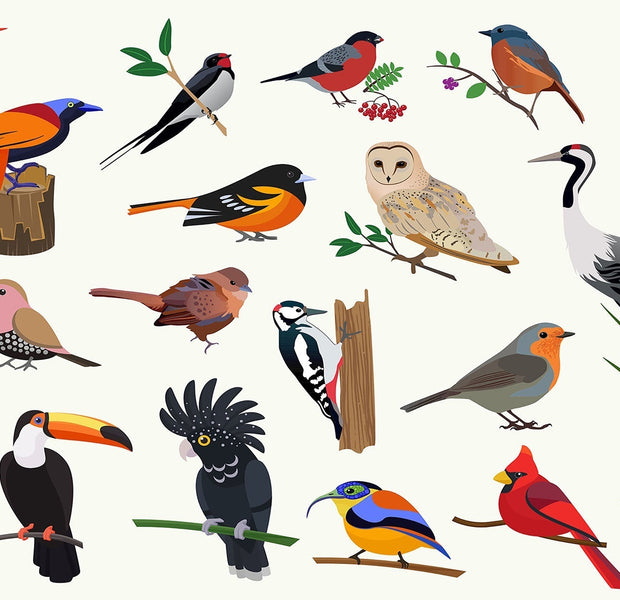 Premium Peel & Stick Wall Mural - Colorful Birds Illustration