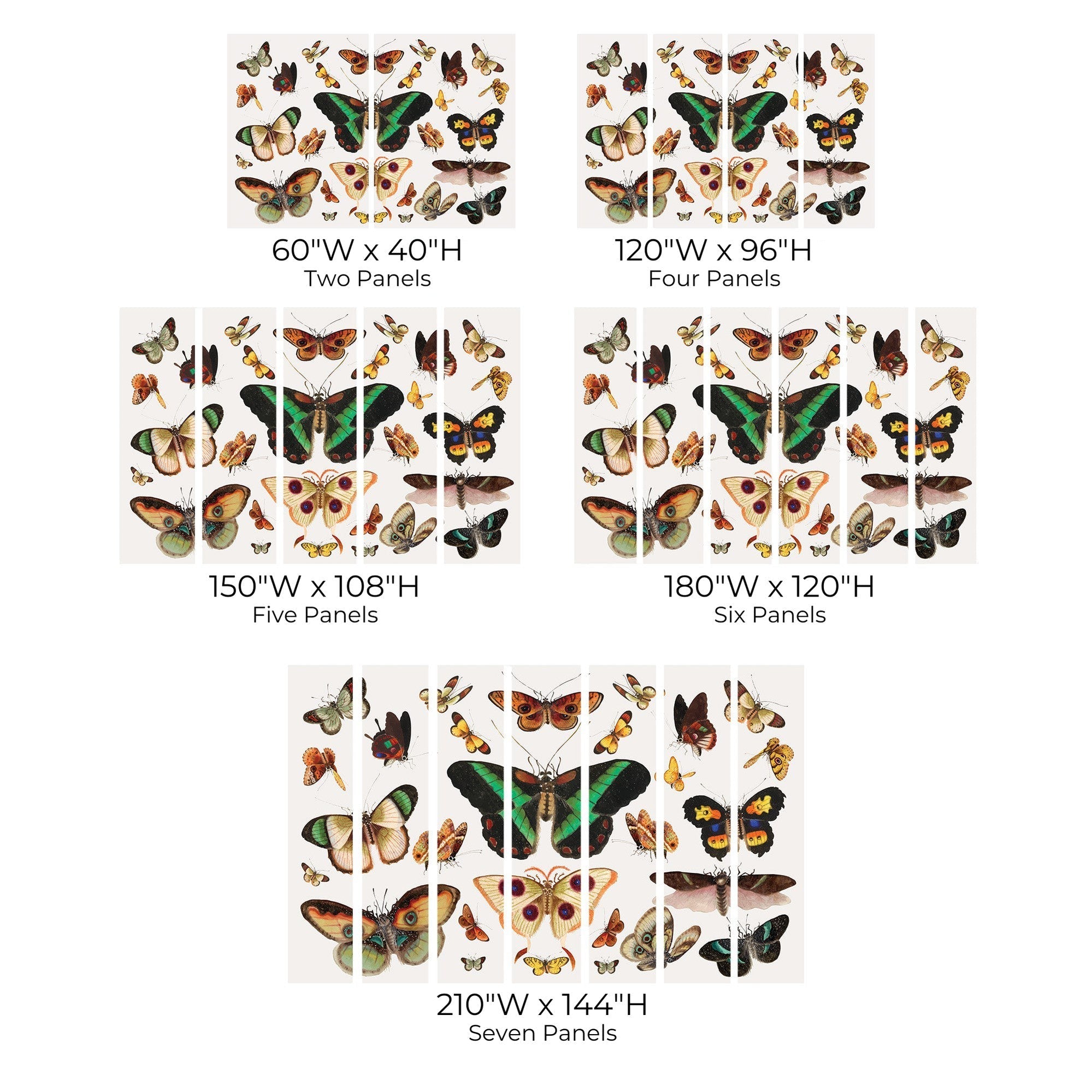 Premium Peel & Stick Wall Mural - Colorful Butterflies