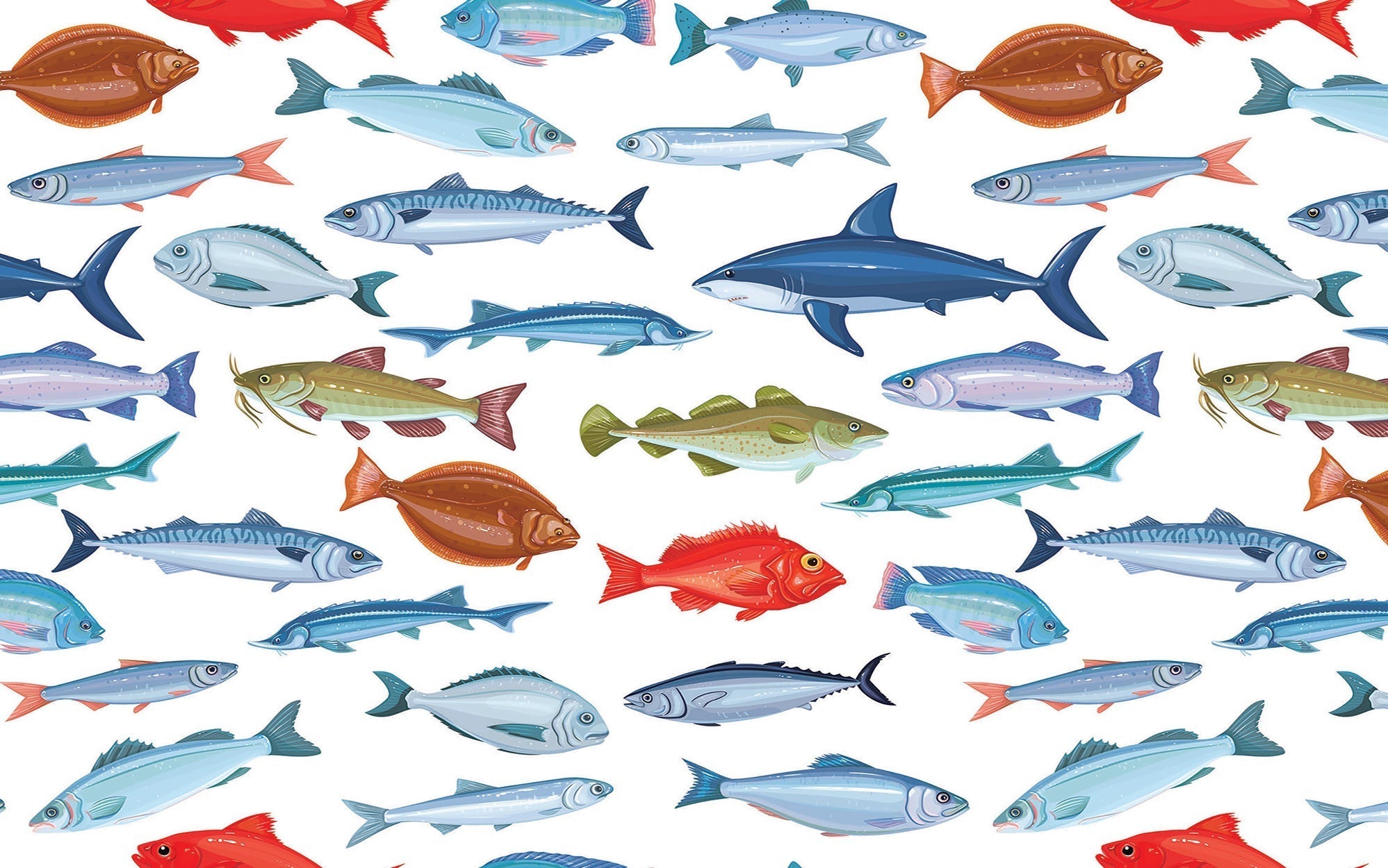 Premium Peel & Stick Wall Mural - Colorful Fish Pattern