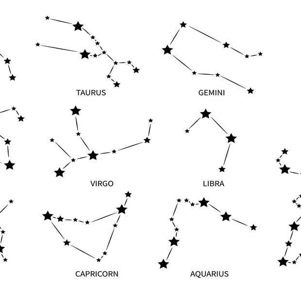 Constellation illustrations of the twelve zodiac signs as wall mural in a monochrome setting