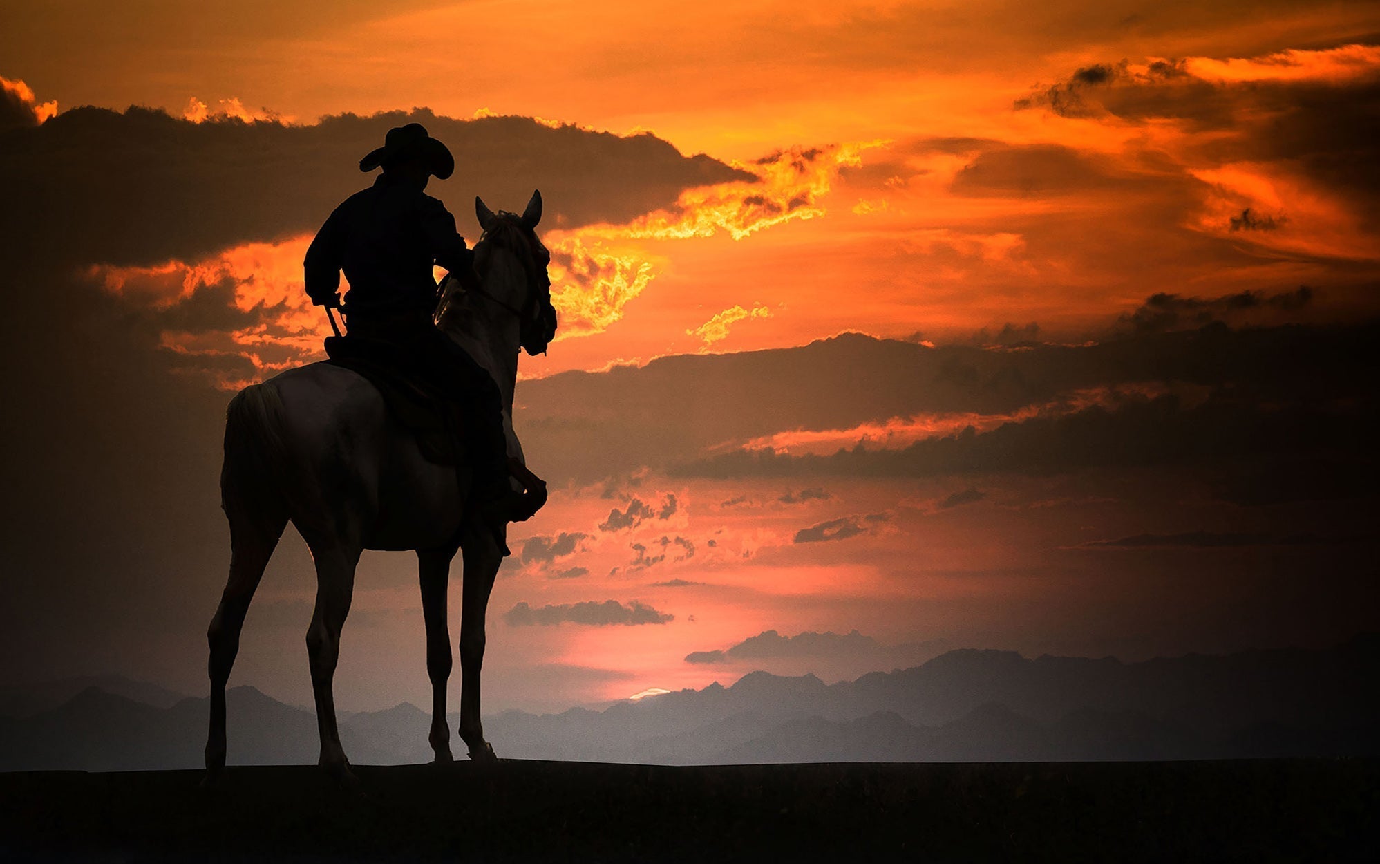 Premium Peel & Stick Wall Mural - Cowboy Sunset Silhouette