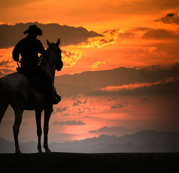Premium Peel & Stick Wall Mural - Cowboy Sunset Silhouette