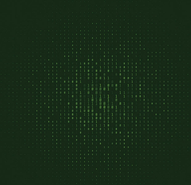 Premium Peel & Stick Wall Mural - Digital Matrix