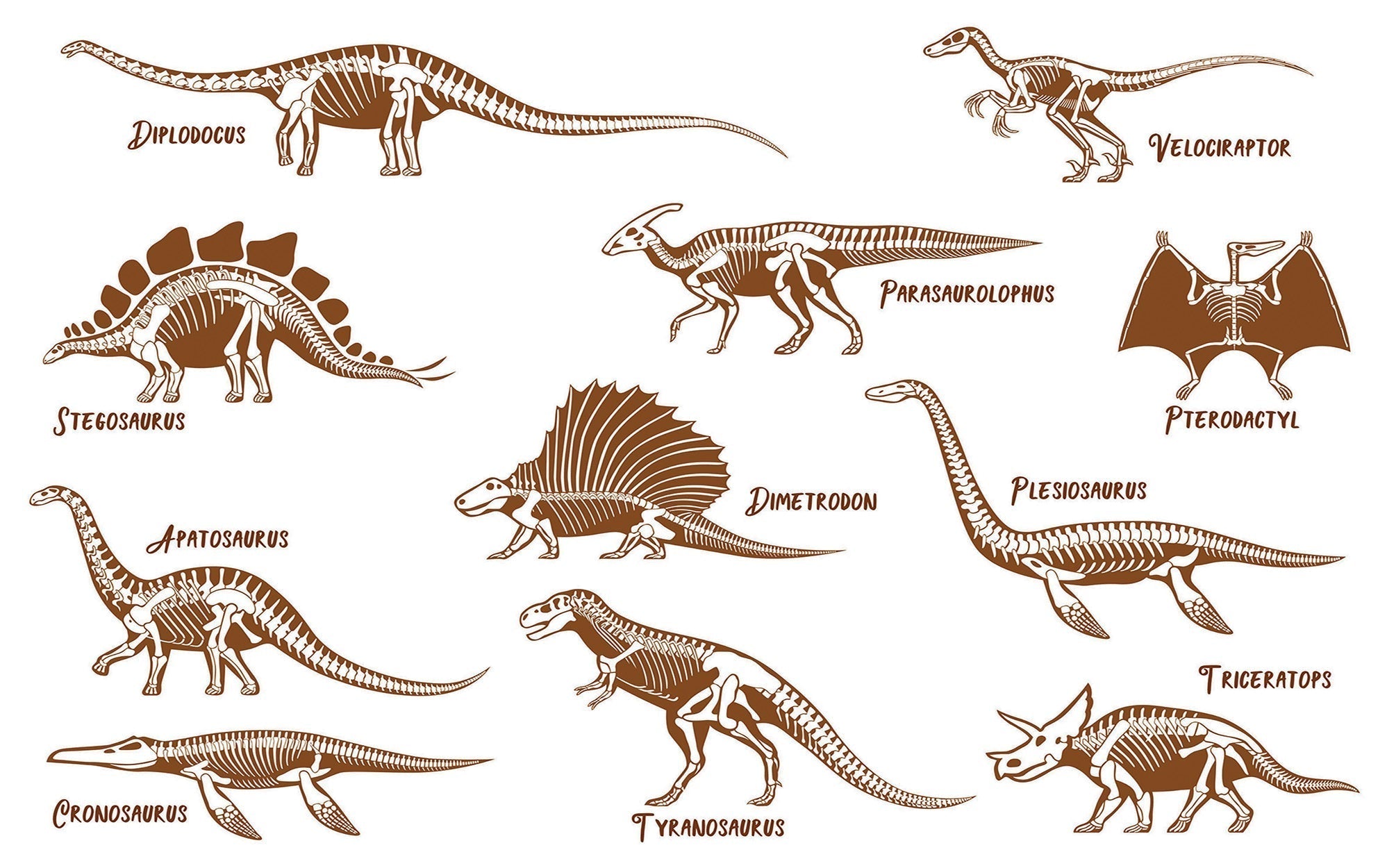 Premium Peel & Stick Wall Mural - Dinosaur Illustration Set