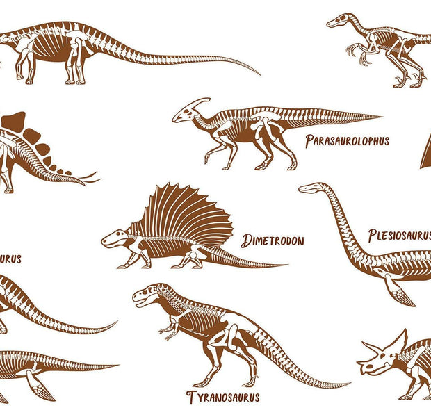 A series of detailed dinosaur illustrations depicted in a brown monochrome style