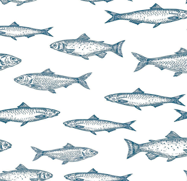 Interior wall covered with a repeating mural of sketched fish in blue on a white background.