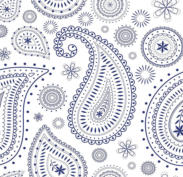 Premium Peel & Stick Wall Mural - Paisley Pattern