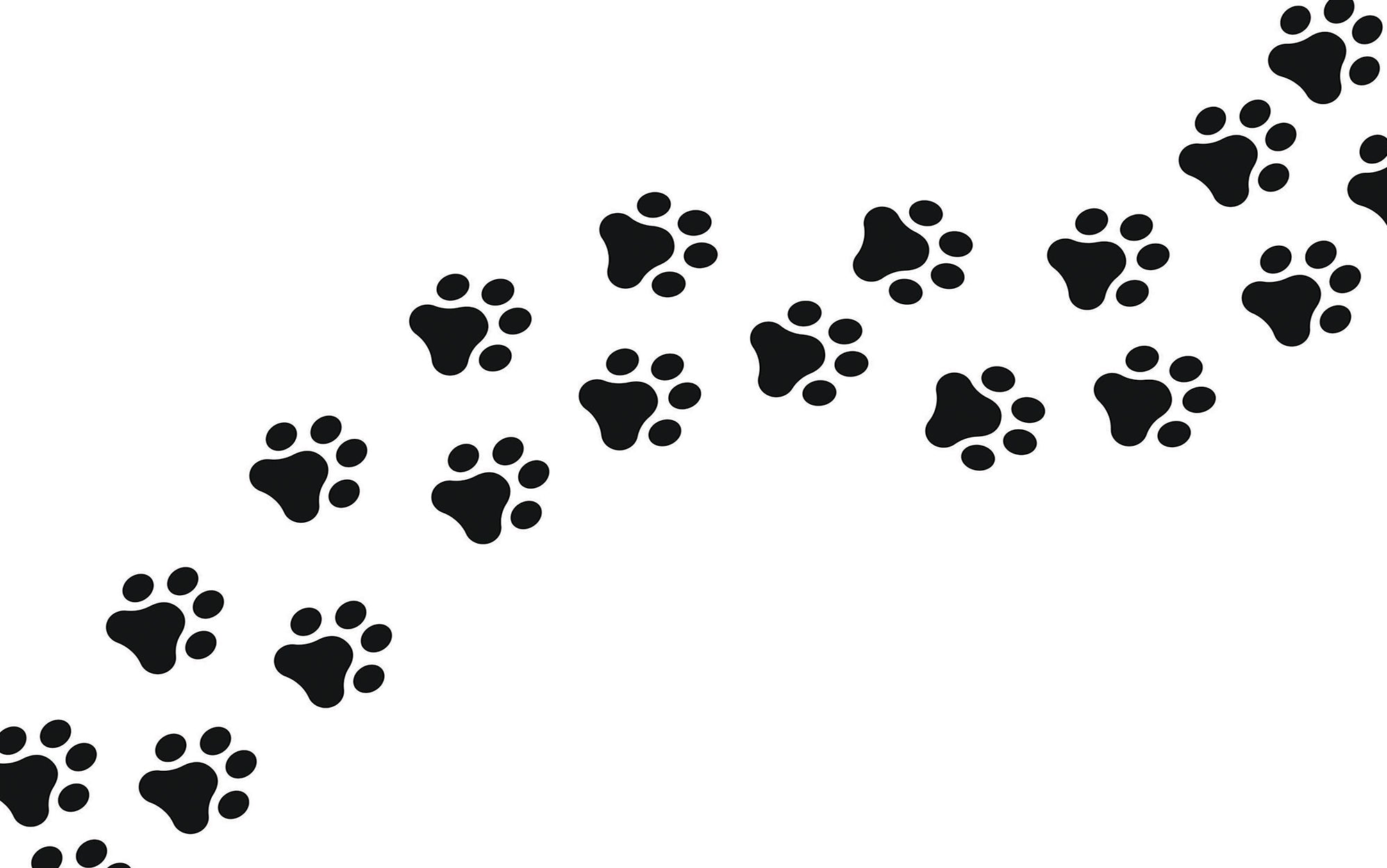 Black paw prints pattern as a wall mural on a white background